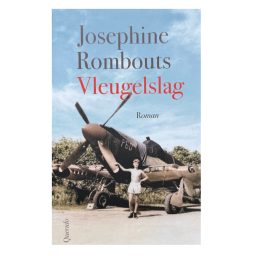 Artwork for Vleugelslag