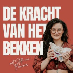 Artwork for De Kracht Van Het Bekken