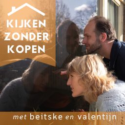 Artwork for Kijken zonder Kopen