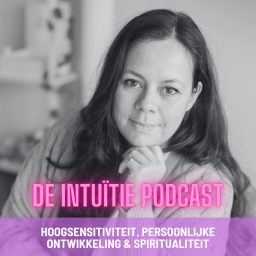 Artwork for De intuïtie podcast
