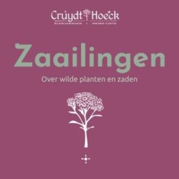 Artwork for Zaailingen