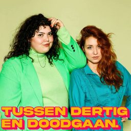 Artwork for Tussen dertig en doodgaan