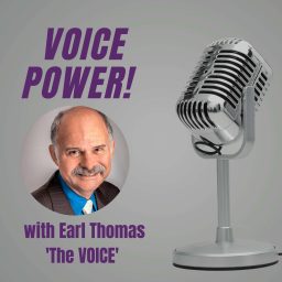 Artwork for VOICE POWER