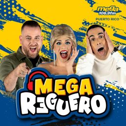Artwork for Mega Reguero