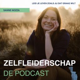 Artwork for Zelfleiderschap: De Podcast