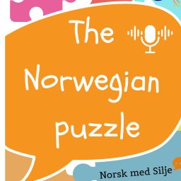 Artwork for The Norwegian puzzle - find your missing pieces