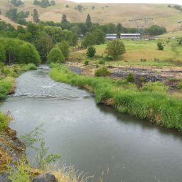 Artwork for THE KLICKITAT VOICE