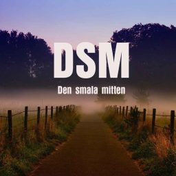 Artwork for Den smala mitten