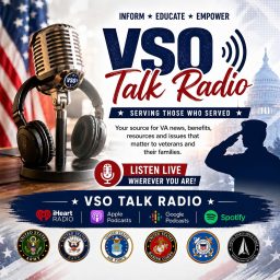 Artwork for VSO Talk Radio