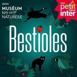 Artwork for Bestioles