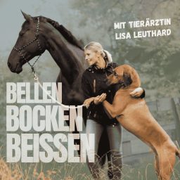 Artwork for Bellen, Bocken, Beißen