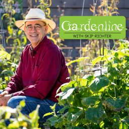 Artwork for GardenLine with Skip Richter