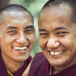 Artwork for Lama Yeshe Wisdom Archive
