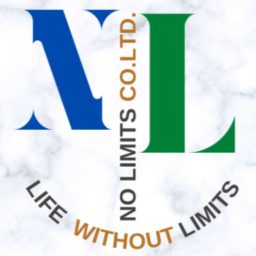 Artwork for No Limits