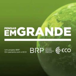 Artwork for Pensar em Grande
