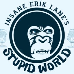 Artwork for Insane Erik Lane's Stupid World