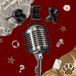 Artwork for Sex, Relationships and Something Else