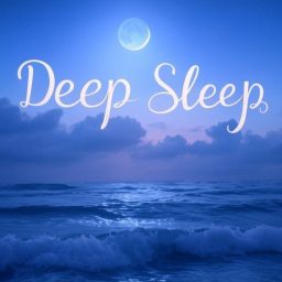 Artwork for Sleep Reset