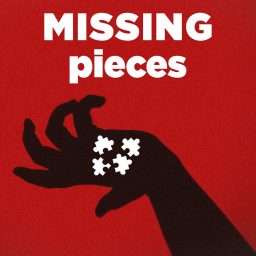 Artwork for Missing Pieces