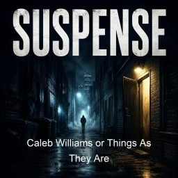 Artwork for Caleb Williams or Things As They Are