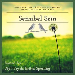 Artwork for Sensibel Sein