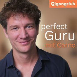 Artwork for Perfect Guru