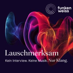 Artwork for Lauschmerksam.