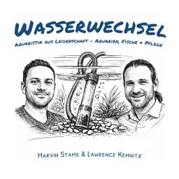 Artwork for Wasserwechsel