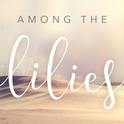 Artwork for Among The Lilies