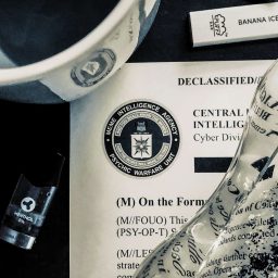 Artwork for Meme Intelligence Agency