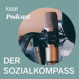 Artwork for Der Sozialkompass
