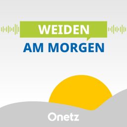 Artwork for Weiden am Morgen