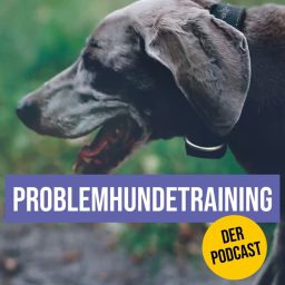 Artwork for Problemhundetraining