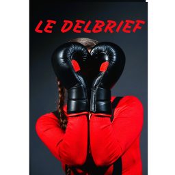 Artwork for Le Delbrief