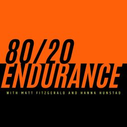 Artwork for 80/20 Endurance