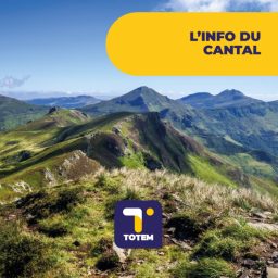 Artwork for L'info du Cantal