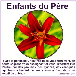 Artwork for Enfants du Pere