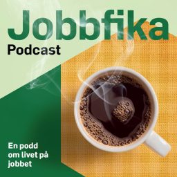 Artwork for Jobbfika