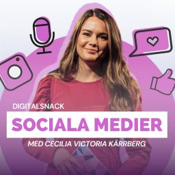 Artwork for Digitalsnack - Sociala medier