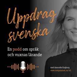 Artwork for Uppdrag svenska