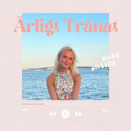 Artwork for Ärligt Tränat