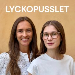 Artwork for Lyckopusslet