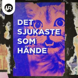 Artwork for Det sjukaste som hände