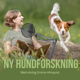 Artwork for Ny hundforskning