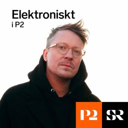 Artwork for Elektroniskt i P2