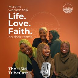 Artwork for The HSM TribeCast