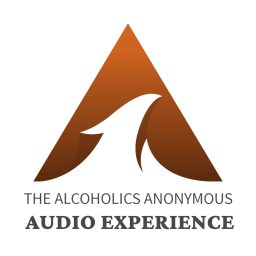Artwork for The AA Audio Experience