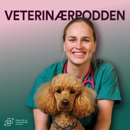 Artwork for NMBU Veterinærpodden