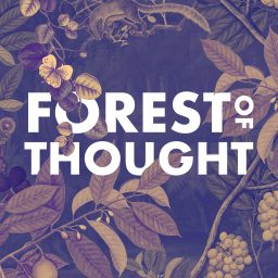 Artwork for Forest of Thought