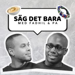 Artwork for Säg Det Bara